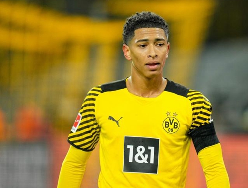 肋部保护迟 肋部保护迟